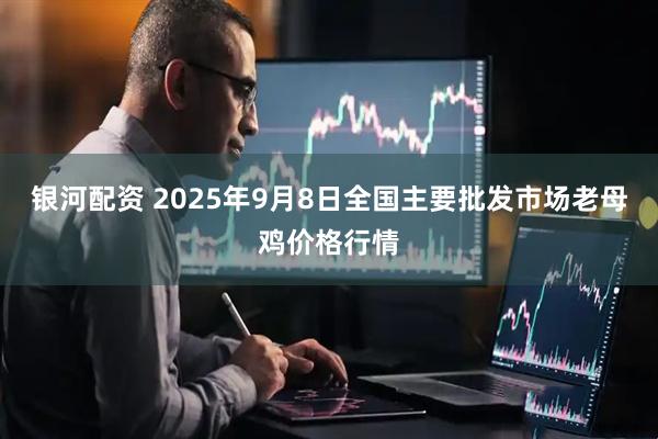 银河配资 2025年9月8日全国主要批发市场老母鸡价格行情