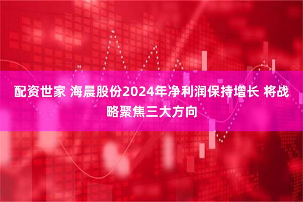 配资世家 海晨股份2024年净利润保持增长 将战略聚焦三大方向