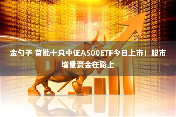 金勺子 首批十只中证A500ETF今日上市！股市增量资金在路上