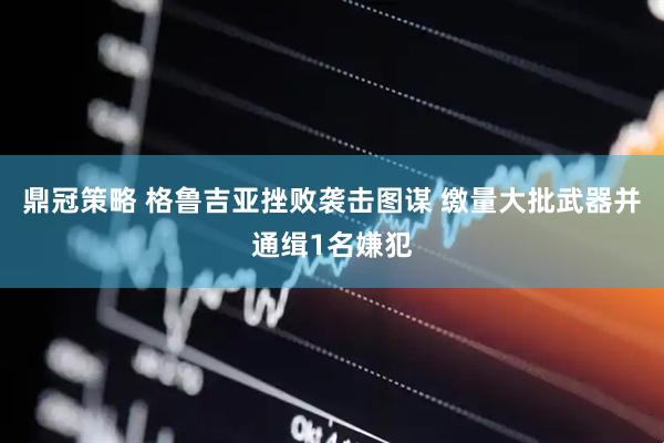 鼎冠策略 格鲁吉亚挫败袭击图谋 缴量大批武器并通缉1名嫌犯