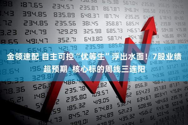 金领速配 自主可控“优等生”浮出水面！7股业绩超预期  核心标的周线三连阳